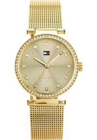 Zegarek Tommy Hilfiger ZEGAREK DAMSKI TOMMY HILFIGER LYNN (zf507a) #1