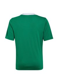 Adidas - Koszulka piłkarska dla dzieci adidas Entrada 22 Jersey. Kolor: biały, wielokolorowy, zielony. Materiał: jersey. Sport: piłka nożna