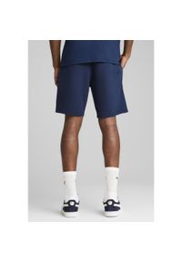 Puma - Męskie szorty Portugalia Casuals PUMA Persian Blue Sunny Yellow. Kolor: żółty, wielokolorowy, niebieski