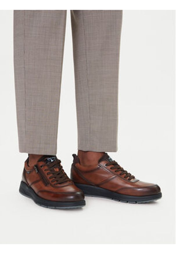 Pikolinos Półbuty M1W-6262C2 Brązowy. Kolor: brązowy. Materiał: skóra