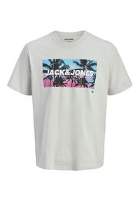 Jack & Jones T-Shirt Indiana Tee 12288112 Szary Regular Fit. Kolor: szary. Materiał: bawełna #7