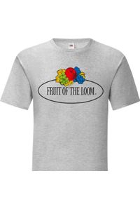 FRUIT OF THE LOOM - Męska Koszulka Z Logo W Stylu Vintage. Kolor: szary