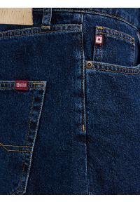 Big-Star - Szorty męskie jeansowe niebieskie Aleksy 508. Kolor: niebieski. Materiał: jeans. Długość: długie. Sezon: lato, wiosna. Styl: wakacyjny, elegancki #4