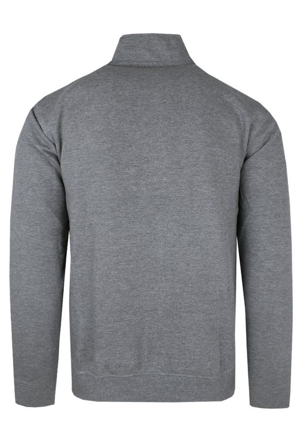 Wygodna Bluza - Pako Jeans - Rozpinany Kołnierz - Popielata. Kolor: szary. Materiał: bawełna, wiskoza
