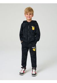 Sinsay - Spodnie dresowe z efektem sprania Pokémon - szary. Kolor: szary. Materiał: dresówka