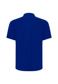 ROLY - Koszulka Polo Z Krótkim Rękawem Dla Dorosłych Unisex Centauro Premium. Typ kołnierza: polo. Kolor: niebieski. Długość rękawa: krótki rękaw. Długość: krótkie