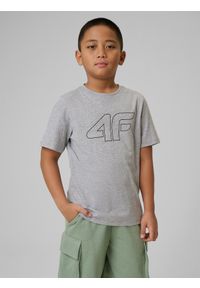 4f - 4F T-shirt z nadrukiem chłopięcy - szary 152 (11-12 lat). Okazja: na co dzień. Kolor: szary. Materiał: dzianina, materiał, bawełna, wiskoza, jersey. Wzór: nadruk. Sezon: lato. Styl: casual, klasyczny, sportowy #1