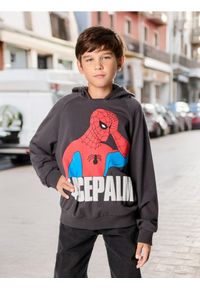 Sinsay - Bluza Spiderman - szary. Kolor: szary. Materiał: bawełna. Wzór: motyw z bajki