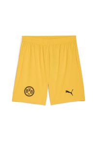 Puma - Męskie szorty Borussia Dortmund 25/26 PUMA. Kolor: wielokolorowy, żółty, brązowy. Materiał: tkanina. Sport: piłka nożna, fitness