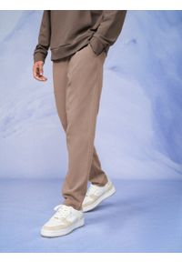 outhorn - Spodnie dresowe w prążki męskie. Materiał: dresówka. Wzór: prążki #6