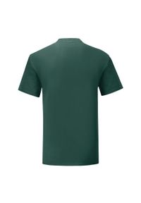 FRUIT OF THE LOOM - Kultowa Koszulka Unisex Dla Dorosłych. Kolor: czerwony, wielokolorowy, zielony