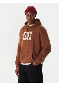 DC Shoes Bluza Star EDYSF03261 Miedziany Regular Fit. Kolor: brązowy. Materiał: syntetyk, bawełna #1