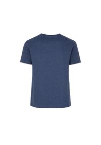 Ochnik - T-shirt męski. Kolor: niebieski. Materiał: bawełna #5