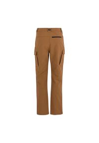 Regatta - Spodnie Męskie Questra Cargo. Kolor: brązowy. Sezon: lato. Sport: turystyka piesza #2