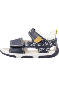 Geox - Sandały GEOX B SANDAL TAPUZ BOY Niebieski. Kolor: niebieski. Materiał: syntetyk, skóra. Sezon: lato