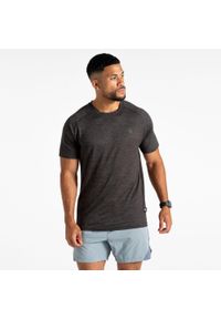 DARE 2B - Koszulka Persist Mens Active. Kolor: szary. Materiał: materiał, skóra. Sport: turystyka piesza #1