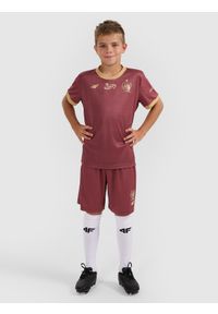4f - 4F Trzecia koszulka klubowa z sezonu 2025/26 dziecięca 4F x Piast Gliwice - multikolor 122/128 (6-8 lat). Kolor: wielokolorowy. Materiał: włókno, dzianina. Długość: długie. Sezon: lato. Styl: klasyczny, sportowy