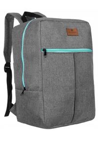 Plecak podróżny szary Peterson [DH] PTN PP-GRAY-BLUE. Kolor: szary. Styl: sportowy, klasyczny