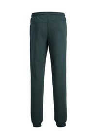 Jack&Jones Junior Spodnie dresowe 12243083 Zielony Relaxed Fit. Kolor: zielony. Materiał: dresówka, bawełna #6