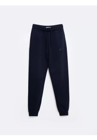 Big-Star - Spodnie dresowe damskie granatowe Kathy 403. Kolor: niebieski. Materiał: dresówka. Wzór: nadruk #6