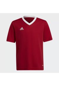 Adidas - Koszulka piłkarska dla dzieci adidas Entrada 22 Jersey. Kolor: czerwony. Materiał: jersey. Sport: piłka nożna