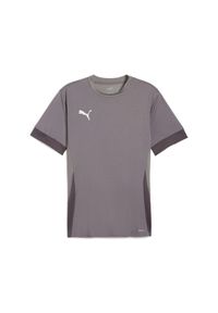 Koszulka Puma Teamgoal Matchday. Kolor: szary. Sport: piłka nożna #1