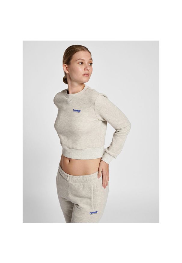 Damska krótka bluza Hummel LGC Shai. Kolor: szary, niebieski, wielokolorowy. Długość: krótkie. Sport: fitness