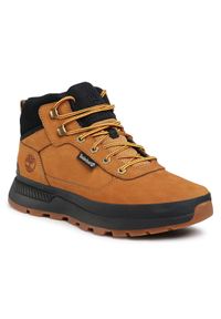 Timberland Trzewiki Field Trekker Mid Hiker TB0A1ZQH2311 Brązowy. Kolor: brązowy. Materiał: skóra, nubuk