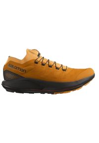 salomon - Buty do biegania męskie Salomon Pulsar Trail Pro. Kolor: pomarańczowy, wielokolorowy, żółty #1