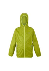Regatta - Dziecięca Kurtka Przeciwdeszczowa Lever II. Kolor: zielony. Styl: sportowy. Sport: turystyka piesza #1