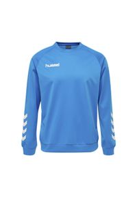 Bluza do piłki ręcznej dla dzieci Hummel Promo Kids Poly Sweatshirt. Kolor: niebieski. Sport: piłka ręczna #1