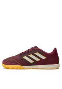 Adidas - adidas Buty Top Sala Competition Indoor Boots IE7549 Bordowy. Kolor: czerwony #4