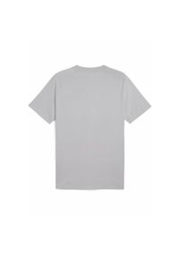 Puma - Męska koszulka Manchester City PUMATECH z kieszenią PUMA Galactic Gray Pro Green. Kolor: zielony, szary, wielokolorowy. Sport: piłka nożna