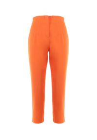 Born2be - Pomarańczowe Spodnie Fynthi. Stan: podwyższony. Kolor: pomarańczowy. Materiał: tkanina. Wzór: gładki, aplikacja. Styl: klasyczny