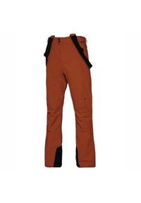 Spodnie narciarskie Protest Oweny. Kolor: brązowy. Sezon: zima. Sport: narciarstwo #1