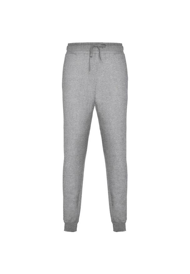 ROLY - Męskie Spodnie Adelpho. Kolor: szary. Sezon: lato. Sport: turystyka piesza