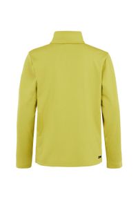 Podkoszulek dziecięcy 1/4 zip Protest Willowy. Kolor: zielony. Materiał: materiał. Sezon: zima. Sport: narciarstwo #2