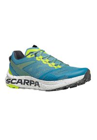 Scarpa - Buty do biegania męskie SCARPA Spin Planet. Kolor: niebieski