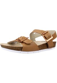 Clarks - Sandały CLARKS RIVER SAND K Jasnobrązowy. Kolor: brązowy, wielokolorowy, beżowy. Materiał: skóra. Sezon: lato