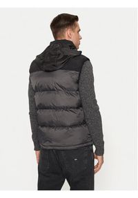 Schott NYC Bezrękawnik UTAHV Szary Regular Fit. Kolor: szary. Materiał: syntetyk. Długość rękawa: bez rękawów #3