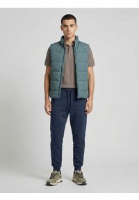 Sinsay - Spodnie dresowe jogger - granatowy. Kolor: niebieski. Materiał: dresówka #1