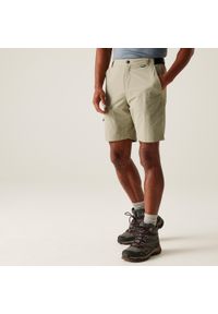 Regatta - Męskie szorty podróżne Light Packaway. Kolor: pomarańczowy. Sport: turystyka piesza #1
