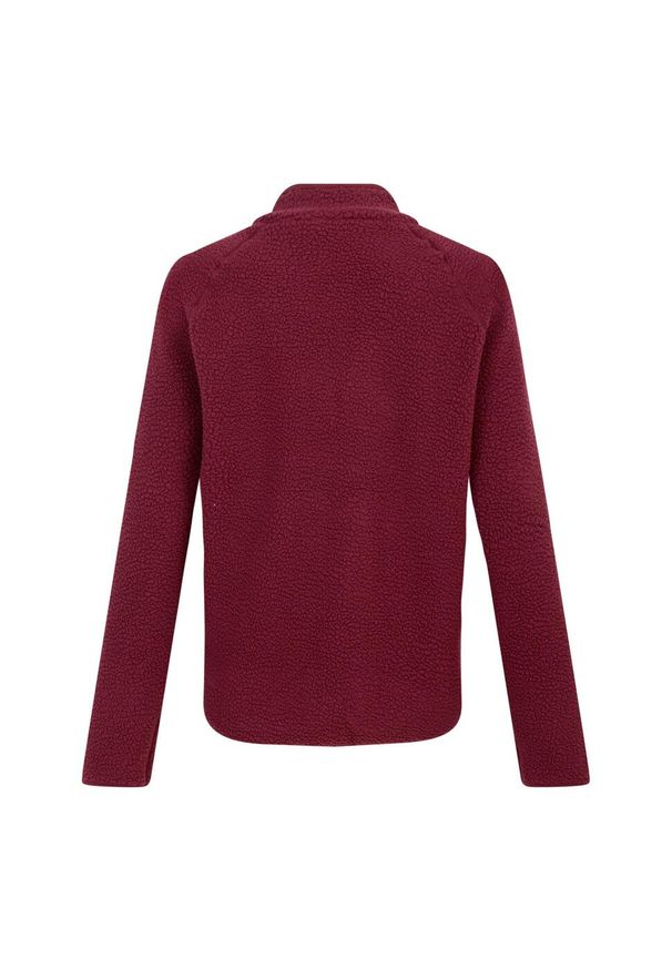 DARE 2B - Bluza Polarowa Damska Excursion. Kolor: fioletowy. Materiał: polar. Styl: sportowy. Sport: turystyka piesza