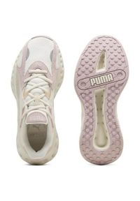 Buty do biegania damskie Puma Softride Frequence. Kolor: wielokolorowy. Materiał: materiał, syntetyk. Szerokość cholewki: normalna. Sport: bieganie