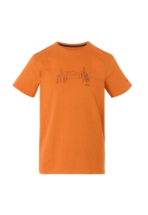 Regatta - Koszulka turystyczna męska Breezed V. Kolor: pomarańczowy. Sport: turystyka piesza