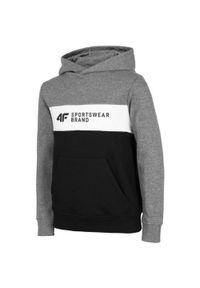 4f - Bluza Dziecięca HJZ22 JBLM003. Kolor: szary, wielokolorowy, brązowy, czarny #1