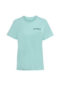 Adidas - Koszulka Terrex Graphic. Kolor: niebieski. Materiał: bawełna. Sport: turystyka piesza, outdoor