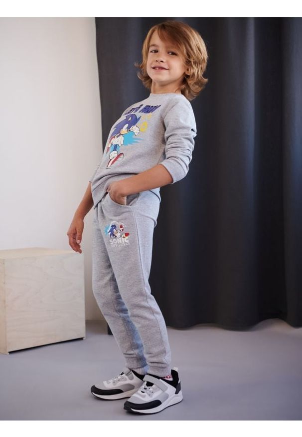 Sinsay - Spodnie dresowe Sonic the Hedgehog - szary. Kolor: szary. Materiał: dresówka