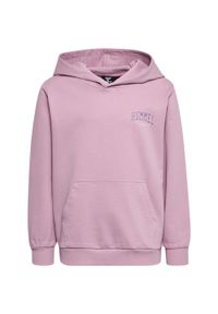 Bluza z kapturem dla dzieci Hummel Fast. Typ kołnierza: kaptur. Kolor: różowy #1