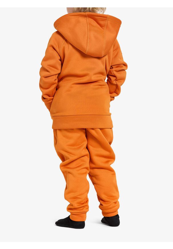 Bluza z kapturem dziecięca Didriksons Corin Full Zip. Typ kołnierza: kaptur. Kolor: pomarańczowy